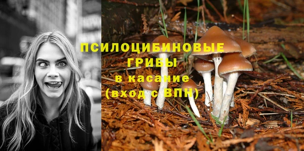 альфа пвп Иннополис