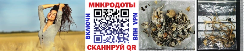 Галлюциногенные грибы GOLDEN TEACHER  Купить закладки  Октябрьск 